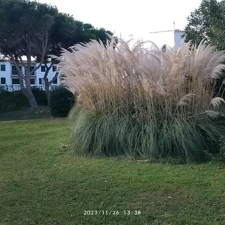 Sol Isla * Arenal d'en Castell