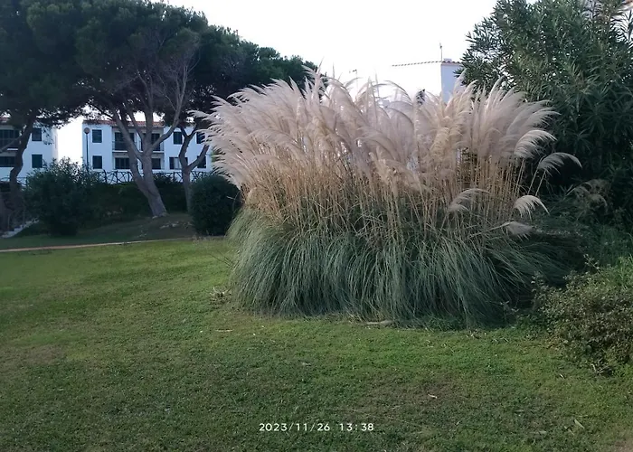 Sol Isla * Arenal d'en Castell